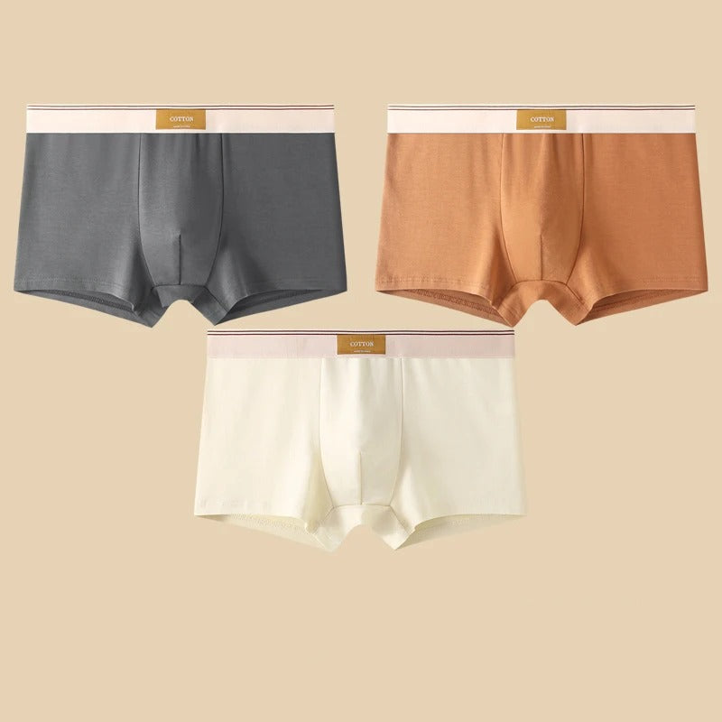 WYNR Cotton Boxer Shorts 3-pcs