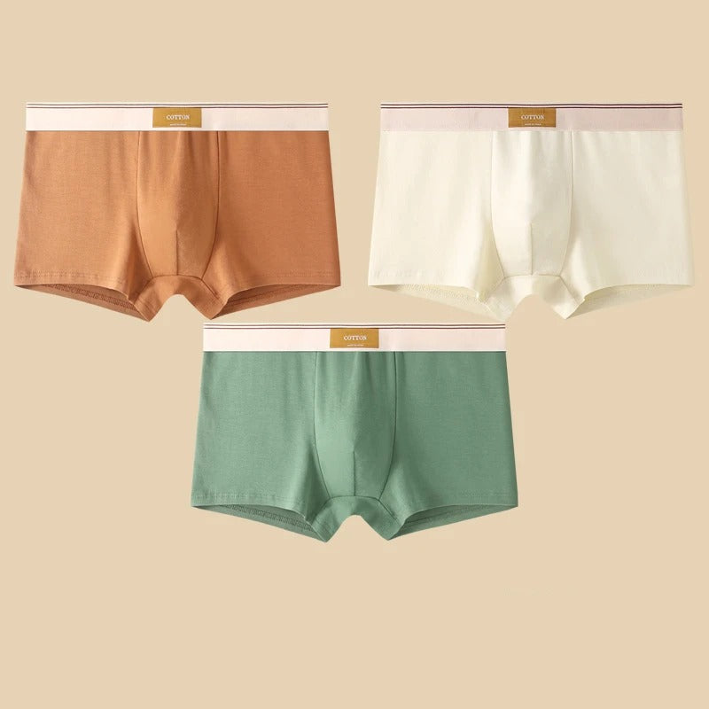 WYNR Cotton Boxer Shorts 3-pcs