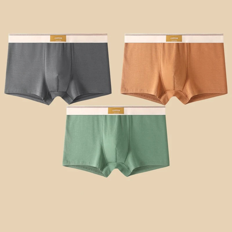 WYNR Cotton Boxer Shorts 3-pcs