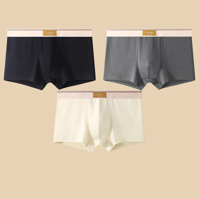 WYNR Cotton Boxer Shorts 3-pcs