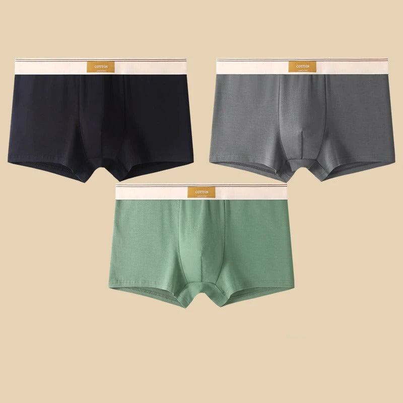 WYNR Cotton Boxer Shorts 3-pcs