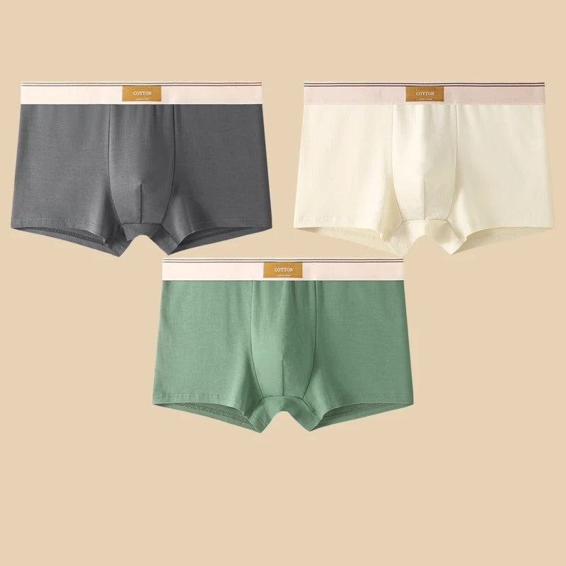 WYNR Cotton Boxer Shorts 3-pcs